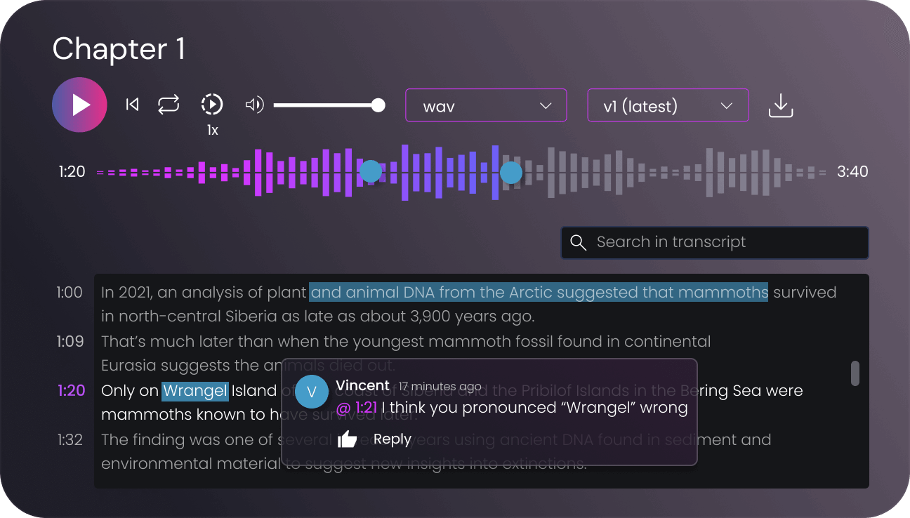 Audio-transcript UI Omnitune app